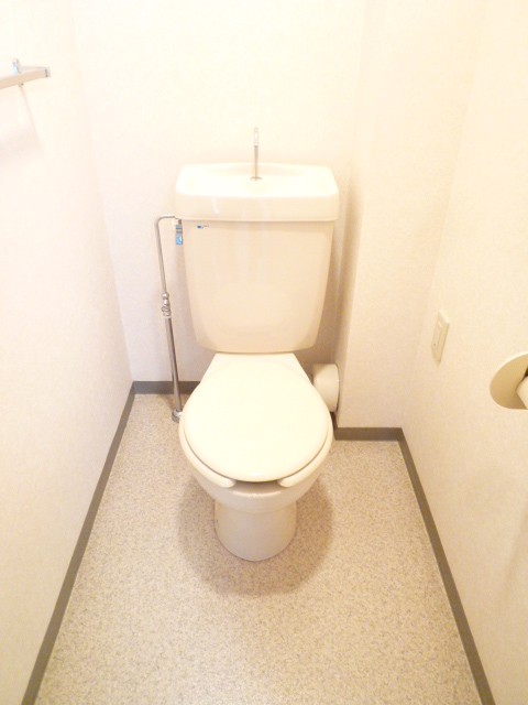 トイレ　307号室の写真です。