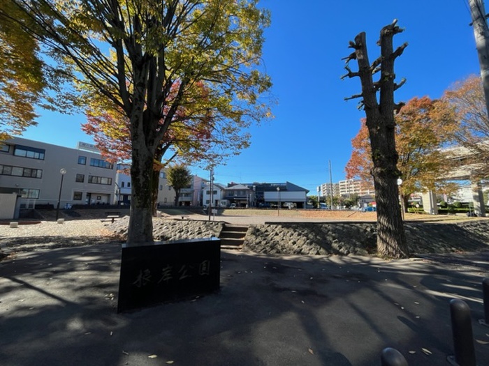 公園　根岸公園（公園）まで255m