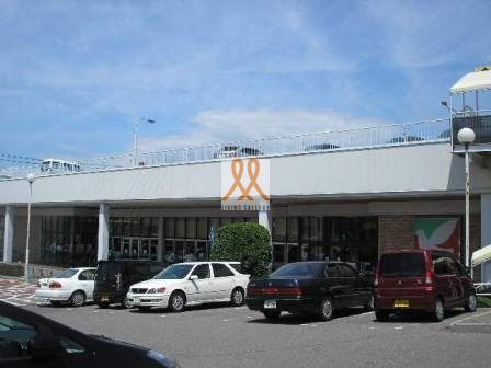 スーパー　ヨークベニマル菜根店（スーパー）まで280m