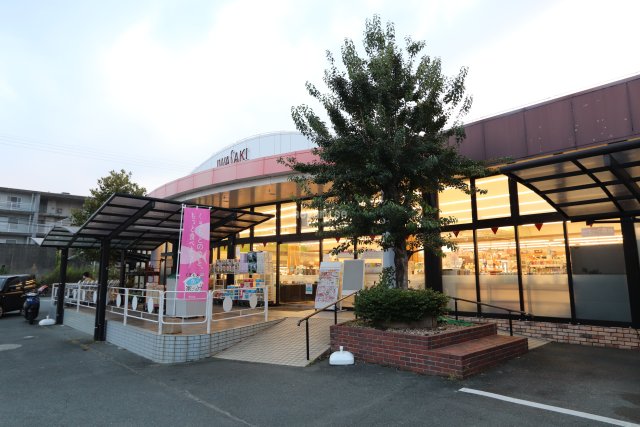 スーパー　イワサキ・エース　島崎店（スーパー）まで1287m