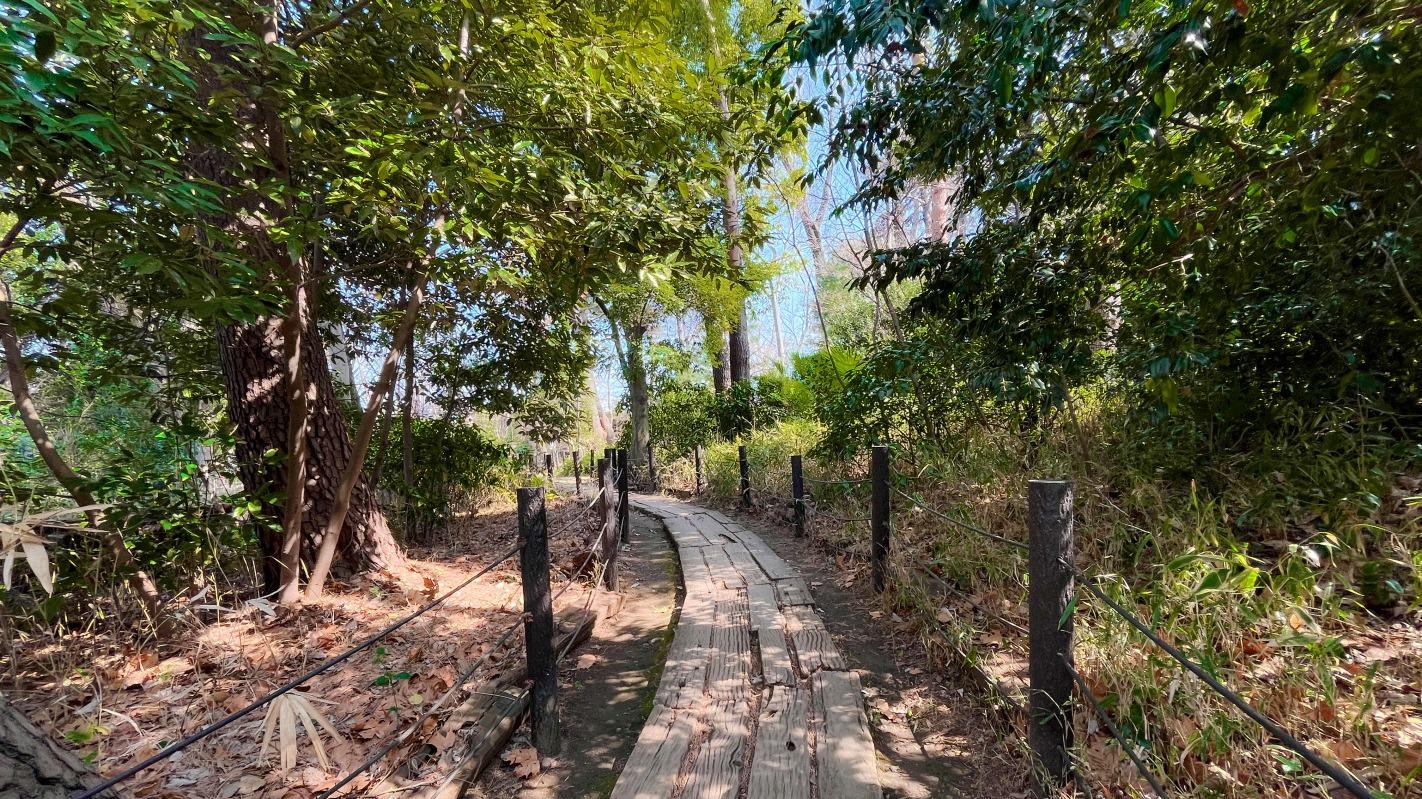 公園　駒場野公園（公園）まで660m