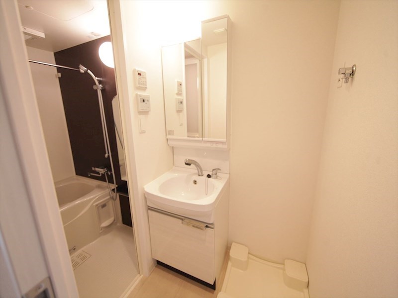 洗面設備　脱衣所　独立洗面台（シャンプードレッサー付）収納スペース有