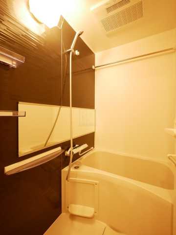 バス・シャワールーム　ライトハウス大塚の風呂