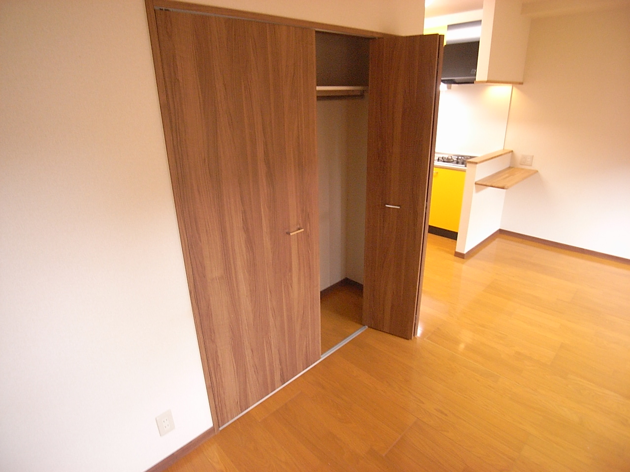 収納　大型クローゼット