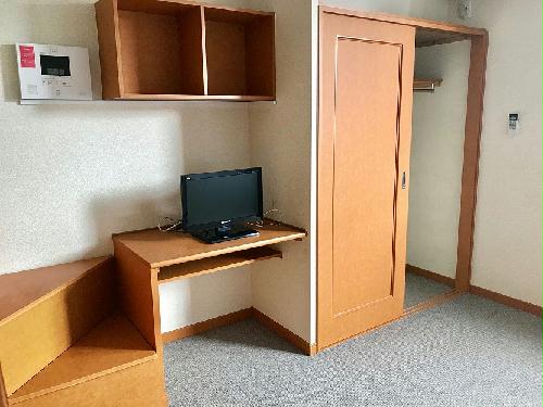 収納　お部屋によってカーペットの色が異なります