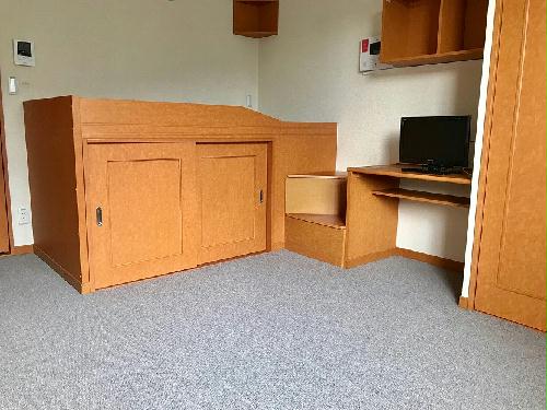 居室・リビング　お部屋によってカーペットの色が異なります