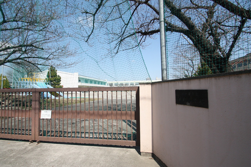 小学校　大杉小学校（小学校）まで410m
