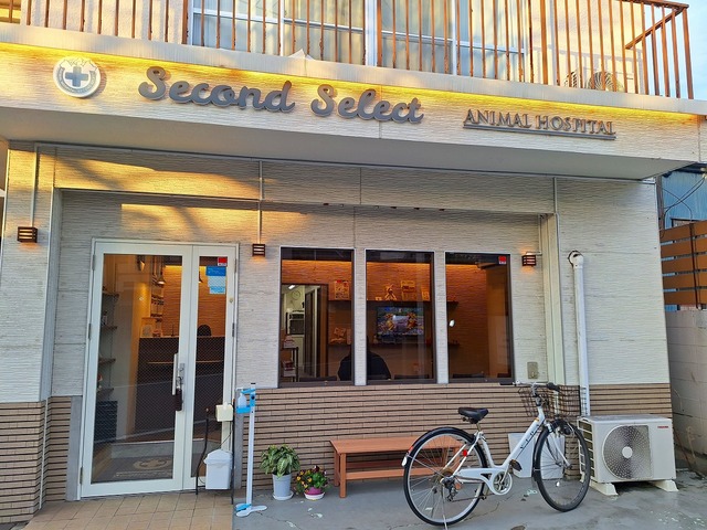 病院　動物病院　セカンドセレクト（病院）まで858m