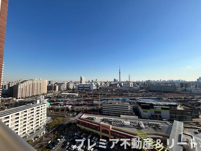眺望