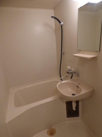 バス・シャワールーム　他部屋の写真