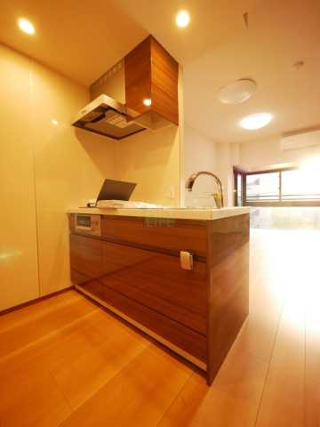 キッチン　グランカーサ本駒込のキッチン