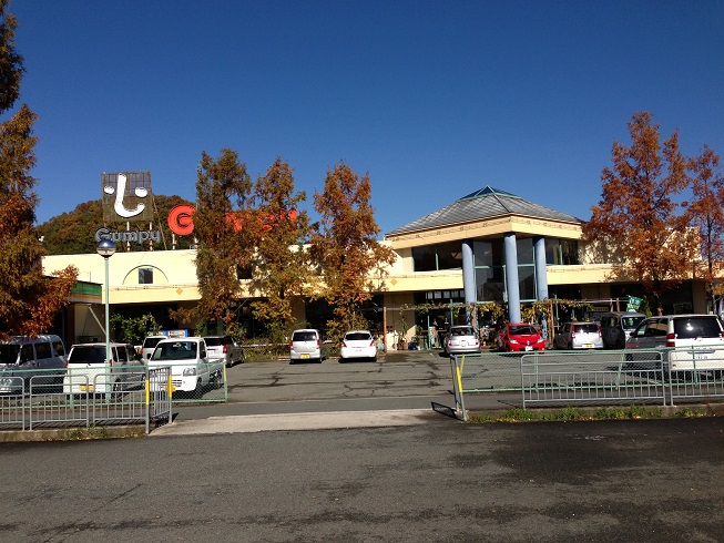 スーパー　ガンピー穀物倉庫（スーパー）まで783m