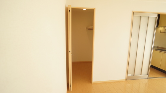 収納　ウォークインクローゼット