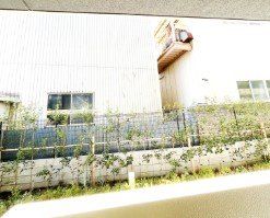 眺望　別室参考写真