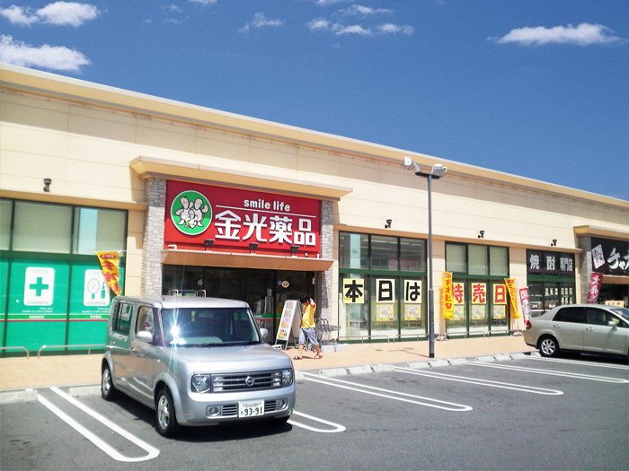 ドラックストア　金光薬品岡山当新田店（ドラッグストア）まで1132m