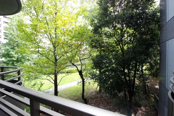 眺望　※別部屋の写真です