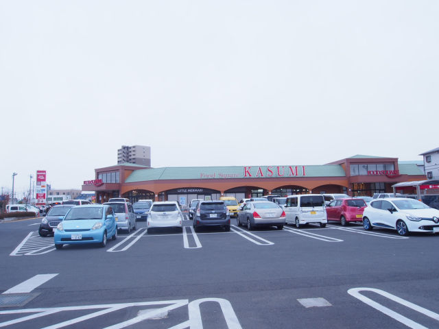 スーパー　カスミフードスクエア水戸見川店（スーパー）まで1228m