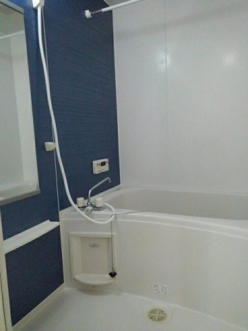 バス・シャワールーム　落ち着いた空間のお風呂です