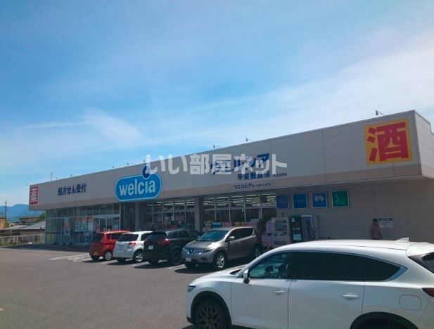 ドラックストア　ウェルシア甲斐敷島店（ドラッグストア）まで729m