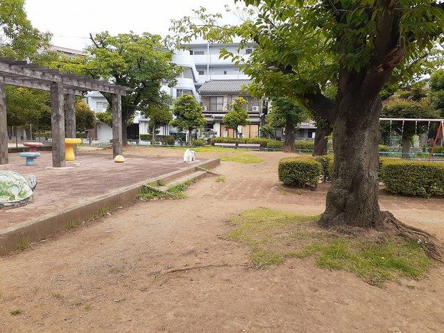 公園　芝後谷公園（公園）まで320m