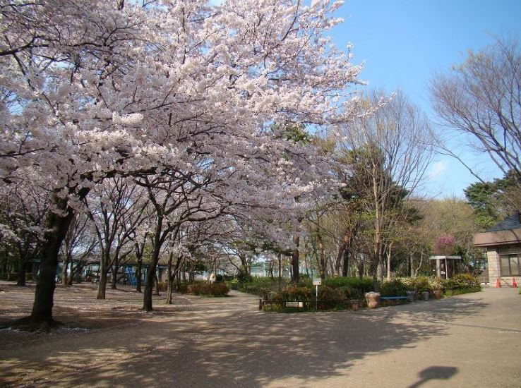 公園　塚山公園（公園）まで217m