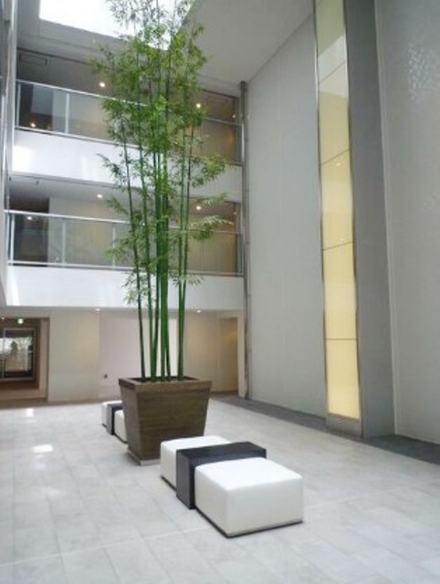 ロビー　※別部屋同仕様