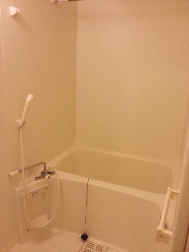 レオパレス岡IIの風呂写真