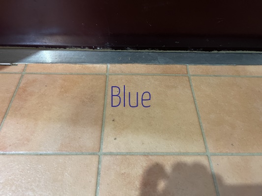 玄関　同じ仕様