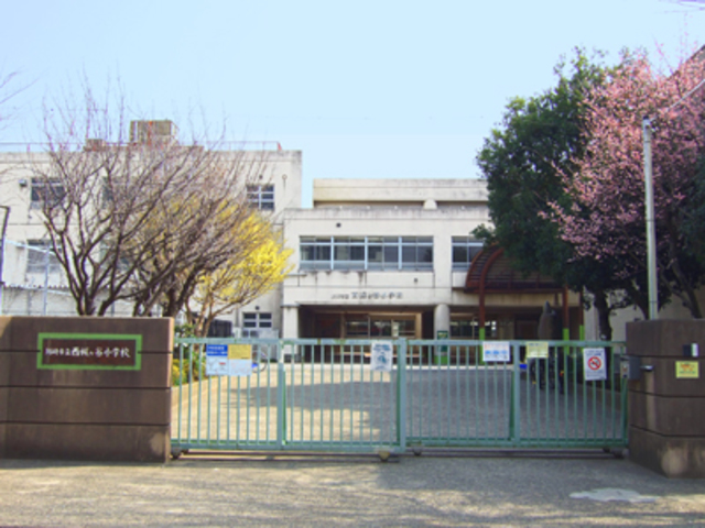 小学校　川崎市立梶ケ谷小学校（小学校）まで523m