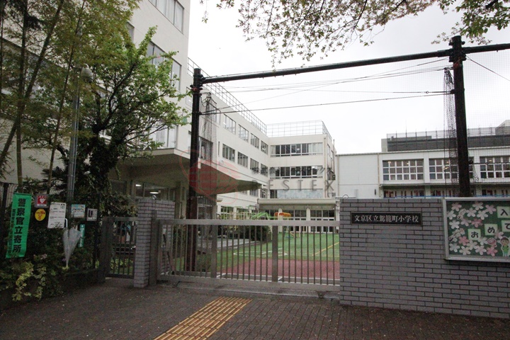 小学校　文京区立駕籠町小学校（小学校）まで236m