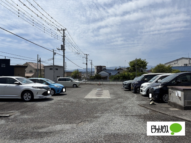 セントポーリアAのその他写真