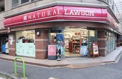 コンビニ　ナチュラルローソン NL新橋六丁目店（コンビニ）まで428m