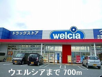 ドラックストア　ウェルシア（ドラッグストア）まで700m