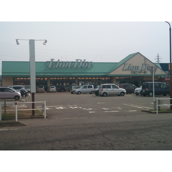 スーパー　リオン・ドール大崎店（スーパー）まで729m