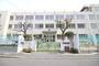 小学校　堺市立少林寺小学校（小学校）まで423m