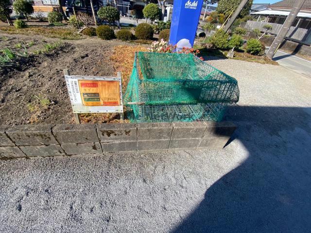 その他　その他