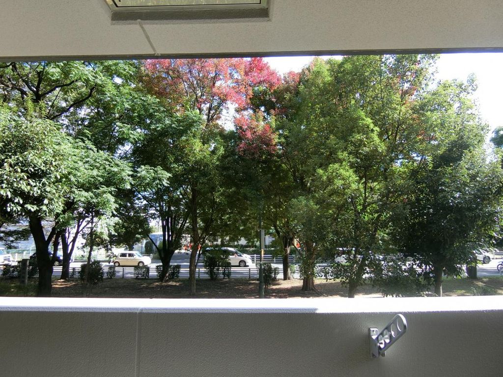 眺望　眺望