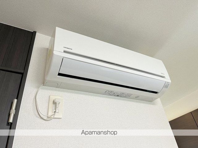 ヴォルフのその他写真