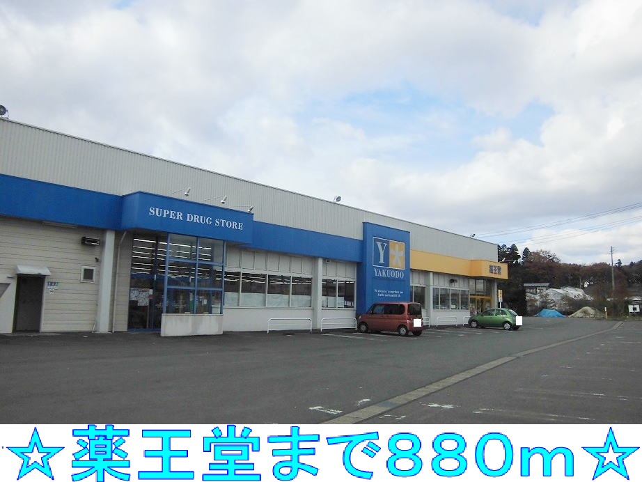 ドラックストア　薬王堂（ドラッグストア）まで880m