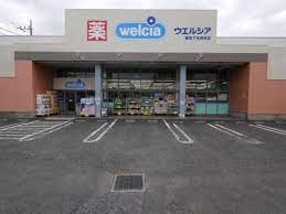 ドラックストア　ウエルシア練馬下石神井店（ドラッグストア）まで135m