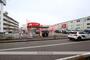 ドラックストア　クスリのアオキ菅原店（ドラッグストア）まで703m