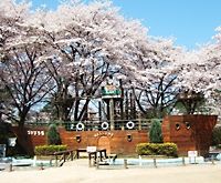 公園　清水公園（公園）まで1558m