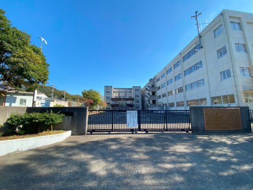 小学校　松戸市立幸谷小学校（小学校）まで501m