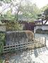 公園　戸越公園（公園）まで142m