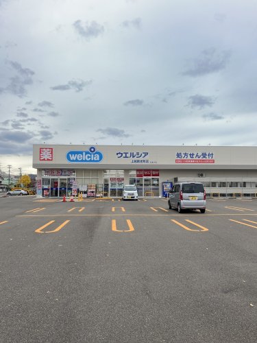 ドラックストア　ウエルシア 上越新光町店（ドラッグストア）まで711m