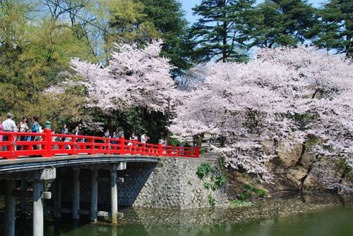 公園　高岡古城公園（公園）まで1621m
