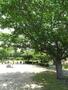 公園　井沼方公園（公園）まで230m