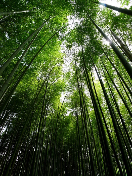 公園　見沼通船掘公園（公園）まで200m