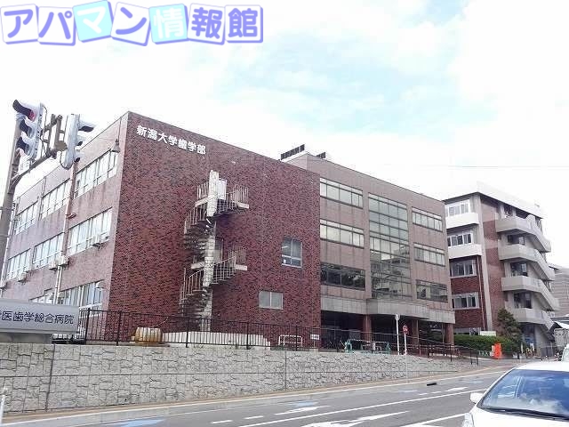 大学・短大　国立新潟大学歯学部（大学・短大）まで1214m