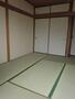 居室・リビング　キレイな畳のお部屋です
